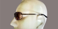 Sky Optics Vector